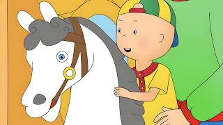 Caillou at the Theme Park | Caillou's New Adventures