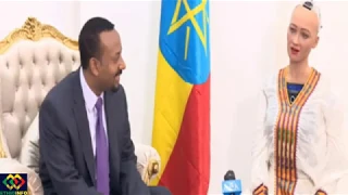 Ethiopia:ጠ/ሚ አብይ ሶፊያን በቢሯቸው አናገሩ Sophia The Robot Meets Ethiopian PM