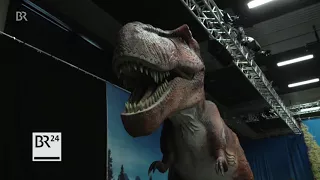 Dino World – Größte Dino-Ausstellung Deutschlands | BR24