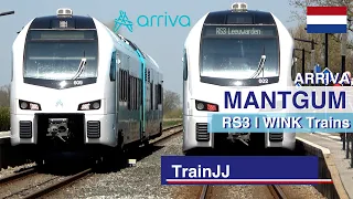 🇳🇱 4K New Arriva Wink RS3 trains at Mantgum NL | Stadler Rail | Dutch Trains