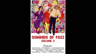 SUMMER OF FUZZ VOL 3 - Garage Rock Compilation