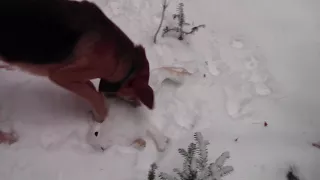 рг Раскат и Потешка 03. 12. 2017 год.