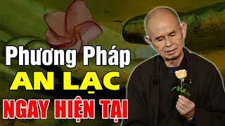 Phương Pháp ĐỂ CÓ AN LẠC và THẢNH THƠI Ngay Giây Phút Hiện Tại, Ai Cũng Nên Nghe |Ts Thích Nhất Hạnh