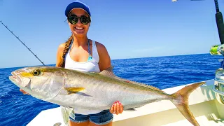 GIANT Amberjack CATCH and COOK! Smoked Fish Dip!