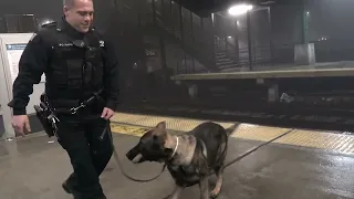 In MEMORY of K9 P.O.CHARLIE .. I found footage from the first time I met K9 Charlie on foot patrol.