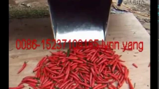 Pepper tail cutting machine Chili stem removing machine  from lynn yang 0086 15237108185