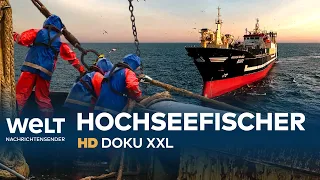 Deutschlands größter Hochseetrawler auf Fangfahrt | HD Doku XXL