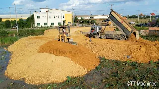 The Best Action Continue Fill The Land Project By Team 25Ton Dump Trucks & Bulldozer Pushing Stone