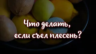 Что делать, если съел плесень опасно ли это для организма и какие продукты можно спасти