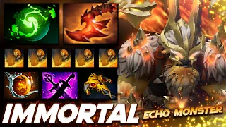 Earthshaker Immortal Echo Ownage - Dota 2 Pro Gameplay [Watch & Learn]