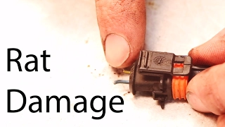 How to fix wire connectors on your car