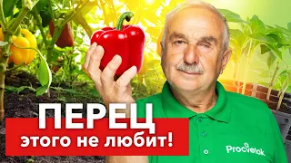 НЕ ДЕЛАЙТЕ ЭТИ ОШИБКИ ПРИ ПОСЕВЕ ПЕРЦА! Агроном раскрыл 7 ошибок всех начинающих огородников