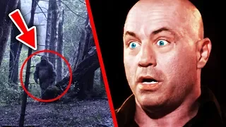 TOP 10 UNTOLD TRUTHS ABOUT BIGFOOT!!!