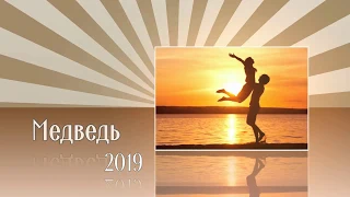 Славянский гороскоп на 2019 год: Медведь