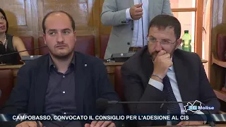 Tg Molise Telemolise 16 08 2019 ed 14 00