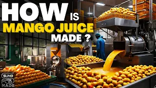 How Mango Juice is Made in a Factory | The Mango Juice Manufacturing Process | Suno How is It Made