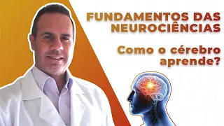 Fundamentos das Neurociências: Como o Cérebro Aprende?