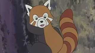 The Jungle Book: The Adventures of Mowgli episode 42 , 43 , 44 & 45 Chikki a mongoose.
