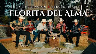 Florita del Alma - La Numeración ft Frecuencia 357 (en vivo)