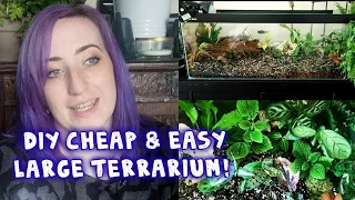 How to DIY - Large Aquarium Terrarium for Cheap - Rare Jewel Orchids, Begonias & More! | PLANT DIY