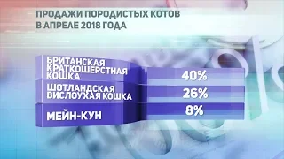 ДЕЛОВЫЕ НОВОСТИ: 19 апреля 2018