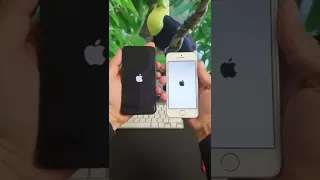 Скорость Запуска iPhone SE 2016 VS iPhone 13 mini 2022