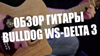 Обзор акустической гитары Bulldog ws-delta 3