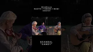 NAOTO×TOMOMI×MAMIsession SCANDAL“CANDY” #shorts