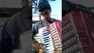 La acordeon fara școală muzica lăutăreasca veche