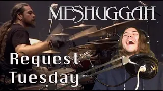 Metalhead REACTS to Pravus LIVE TOKYO by MESHUGGAH