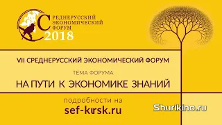 15 сек. Рекламный информационный видеоролик Видео анонс экономического форума Инфографика