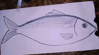 How to draw a fish very easy (step by step) Hilsa fish drawing easy