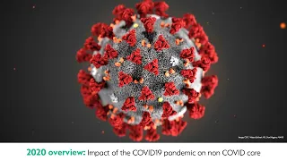 2020: Impact of the COVID-19 pandemic on patient safety