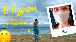 Первое самостоятельное путешествие Софии/ Поездка в Пусан/ KOREA VLOG/