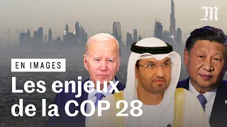 COP 28 : les trois sujets qui vont crisper les débats sur climat et l'environnement