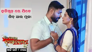 Jhia Amara Nuabohu Serial Today Episode Promo | Tarang Tv | Episodic Promo -1616 | Fast Odia