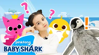 Let's Go to the South Pole with Baby Shark! | Baby Shark Toy Show | Toy Review | Baby Shark Official