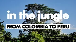 In The Jungle - A Journey From Leticia To Iquitos