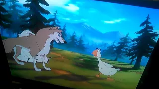 Aleu roasts Balto and Boris