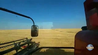 🔴Live! Harvest 2018 Part 2 - Welker Farms Inc