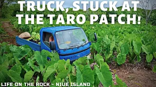 Truck Stuck at the Taro Plantation!