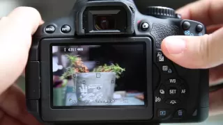 Canon T4i(650D) Live view options and Focusing Tips