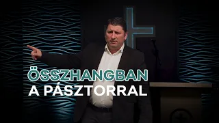 Összhangban a Pásztorral  - Novák Zsolt