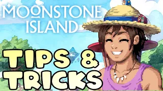 10 Beginner Tips You Should Know Before Playing Moonstone Island!