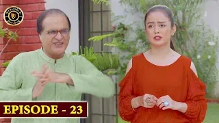 Bulbulay Season 2 | Episode 23 |Ayesha Omar & Nabeel| Top Pakistani Drama