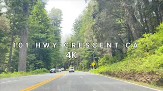 4K Driving - Crescent CA to Brooking Oregon U.S ROUTE 101 POV [60fps] HDR |July 2023|