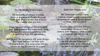 Boris Golovin The Butterfly of Zhuangzi 庄子蝴蝶 Бабочка Чжуанцзы Zhuang Zhou