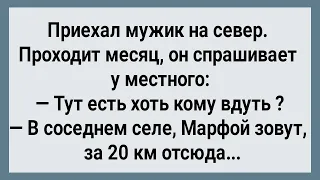 Как Мужик Без Женщин На Севере Жил! Сборник Свежих Анекдотов! Юмор!