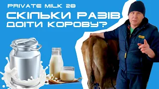 Скільки разів потрібно доїти корову? | Private Milk | Травецький