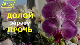 # 132 ПРЕДУПРЕЖДЁН значит ВООРУЖЁН. Как предупредить БОЛЕЗНИ ОРХИДЕЙ. 2 ШАГ #ОрхидеиДляНачинающих